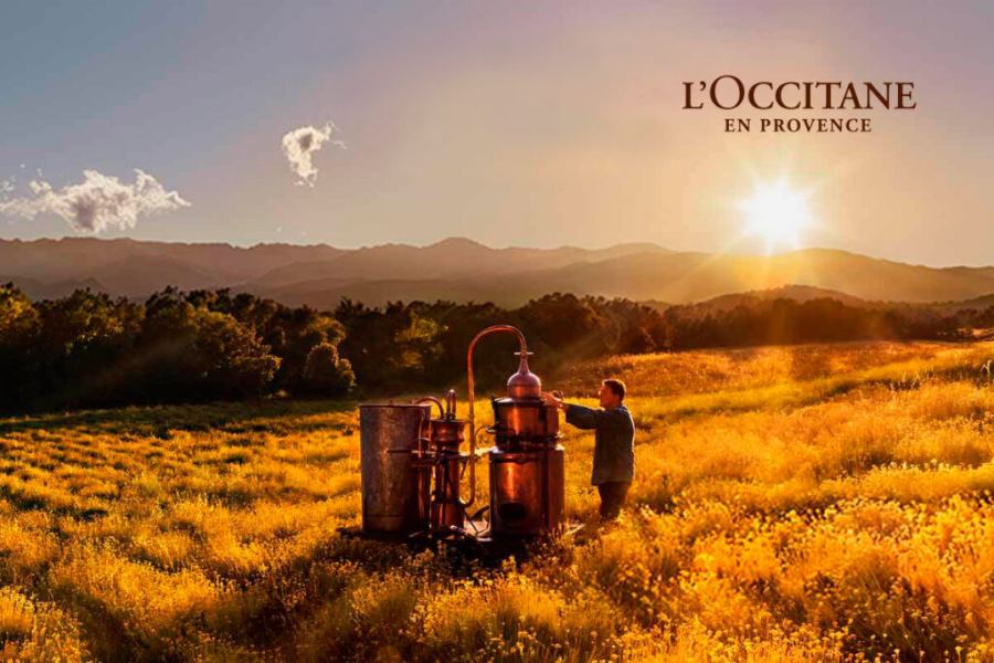 L’Occitane / Provence — проект тайный покупатель